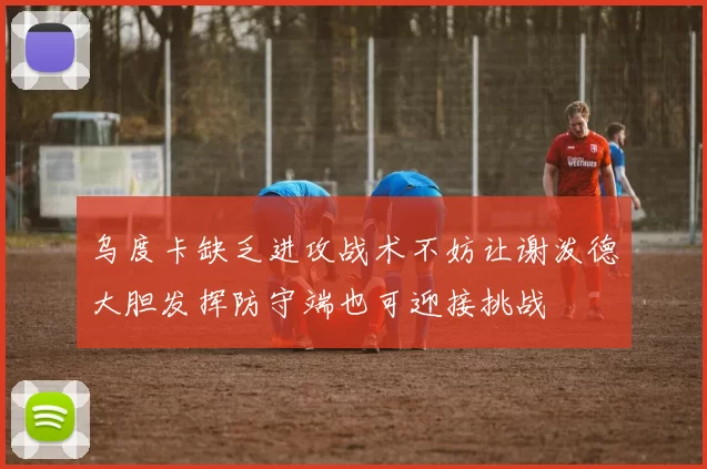 乌度卡缺乏进攻战术不妨让谢泼德大胆发挥防守端也可迎接挑战