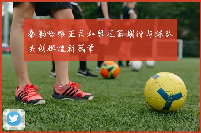 泰勒哈维正式加盟辽篮期待与球队共创辉煌新篇章